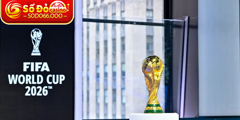 Vòng Loại World Cup – Bước Khởi Đầu Của Ngày Hội Bóng Đá Thế Giới 2 Cái nhìn tổng quan về vòng loại World Cup