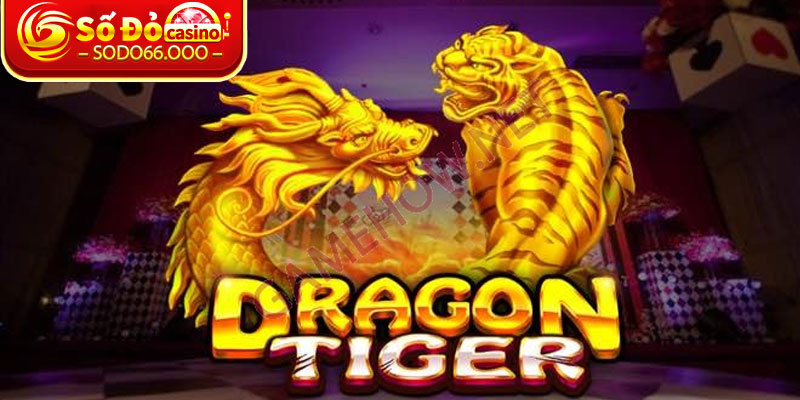 Chiến Thuật Chơi Rồng Hổ Dễ Thắng Nhất Năm 2025 2 Nắm bắt những nhân tố cốt lõi có trong Rồng Hổ